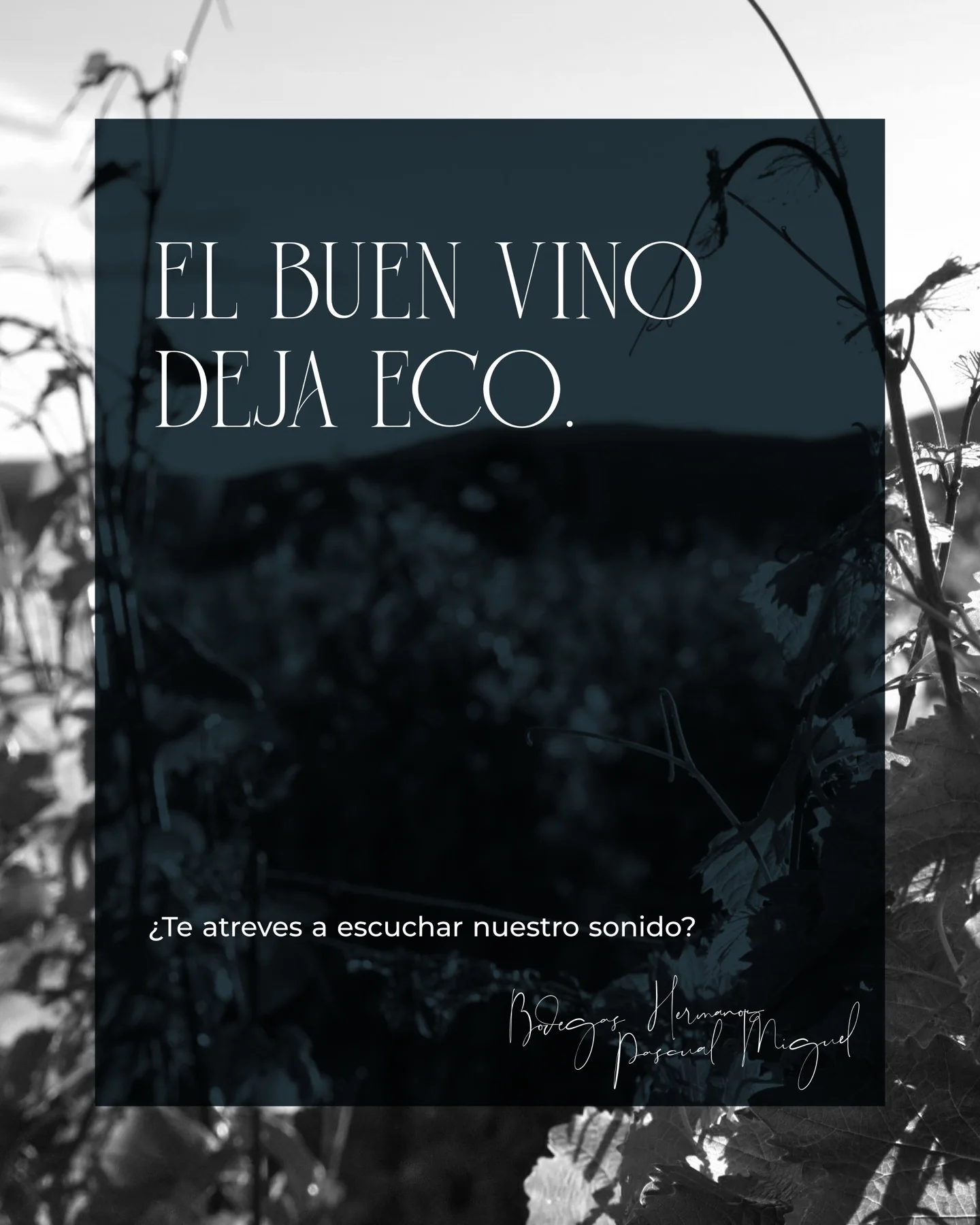 Bodegas HPM Social Media